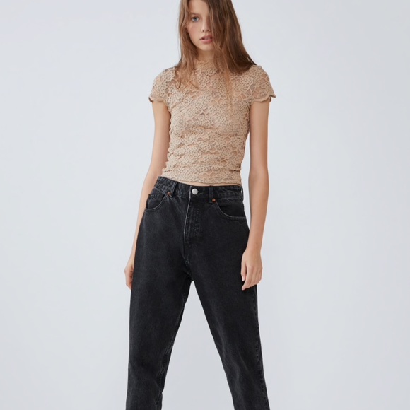 Zara Tops - Zara Lace Tan Sheer Mock Neck Top Embroidered Cute